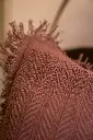 DSC00259.webp