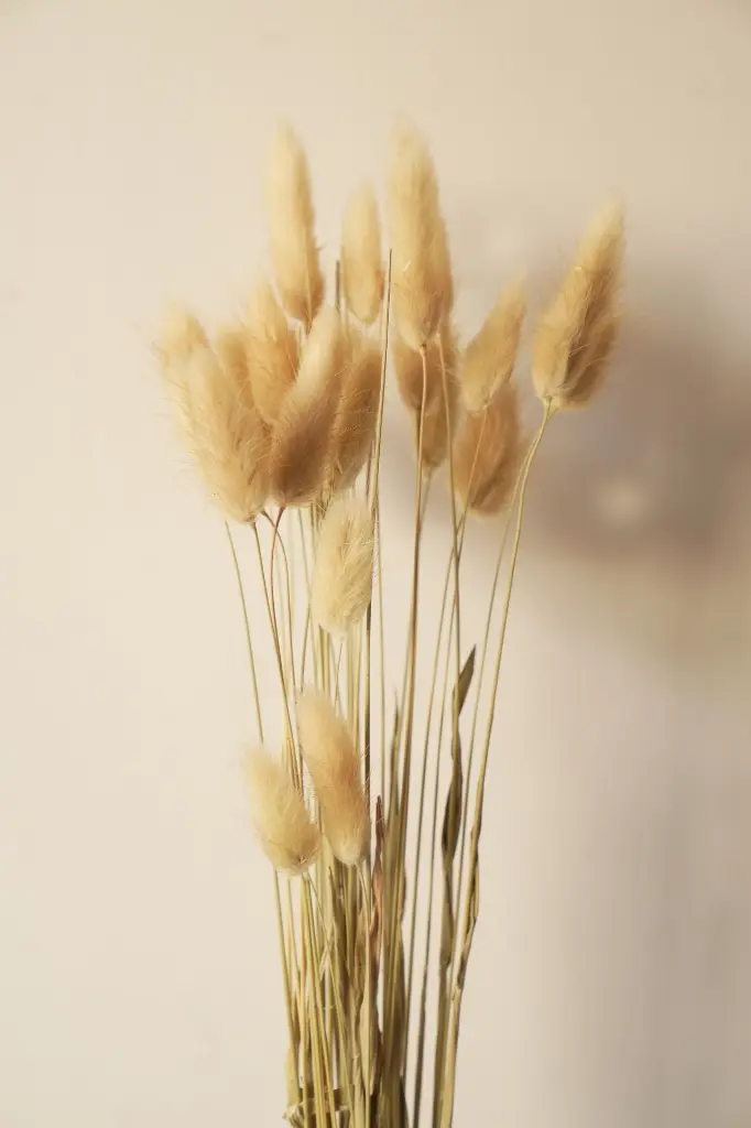 DSC00312.webp