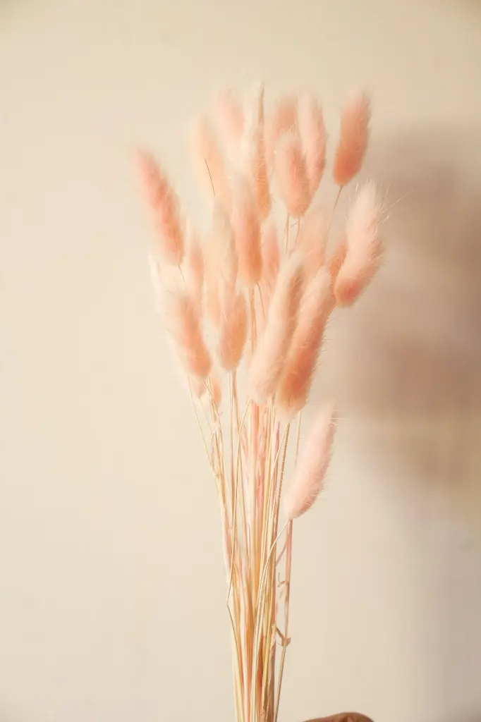 DSC00304.webp