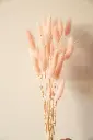 DSC00304.webp