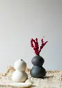 Venera vase set