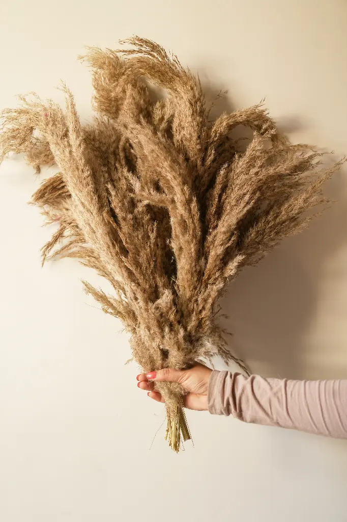 Pampass vase filler