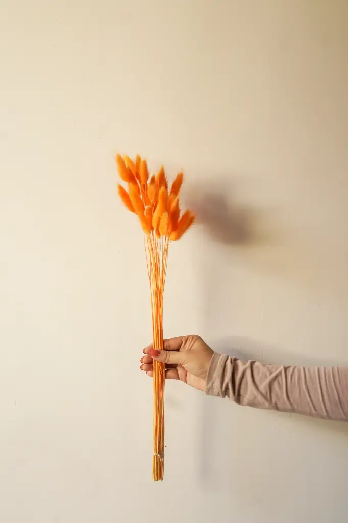 Orange bunny tail
