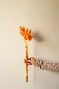 Orange bunny tail