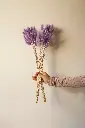Purple bunny tail