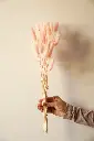 Pink bunny tail