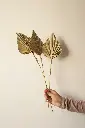 Palm spear natural