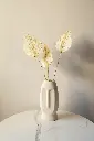 White palm spear