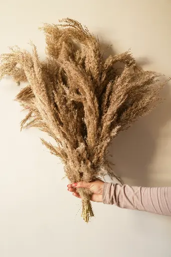 Pampass vase filler