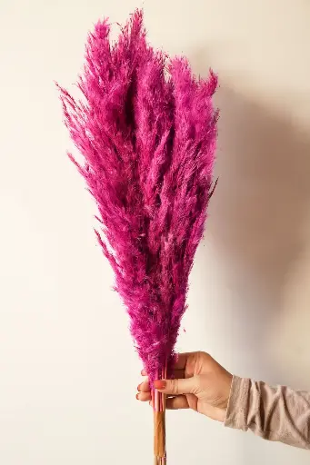 Pink Pampass grass vase filler