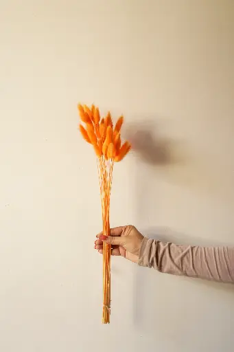 Orange bunny tail