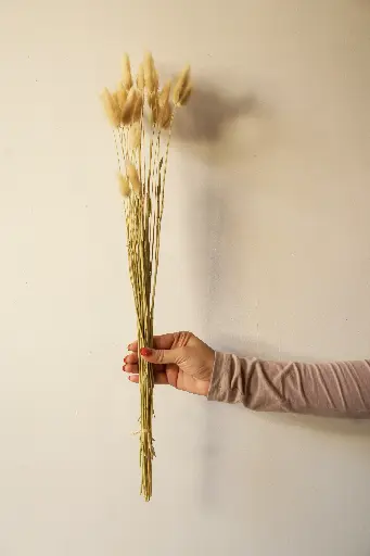 Natural bunny tail
