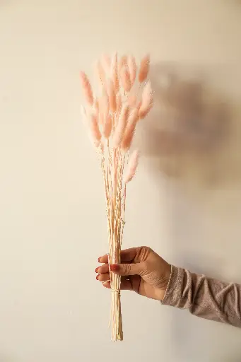 Pink bunny tail