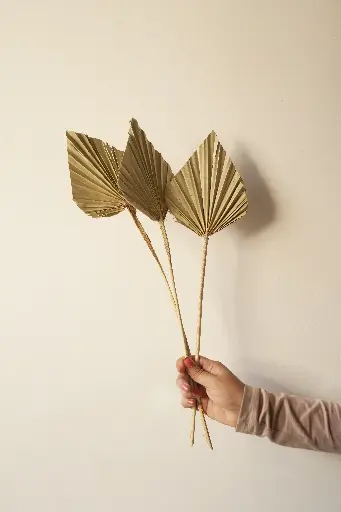 Palm spear natural