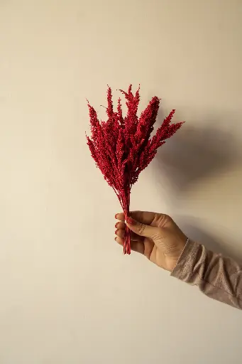 Red fox tail