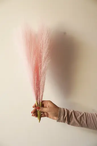 Baby pink faux pampass